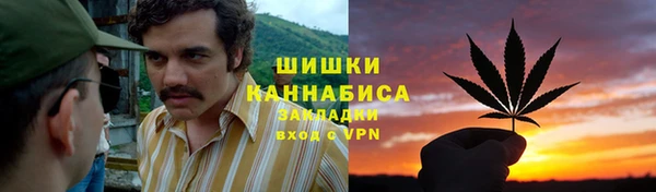 хмурый Сосновка