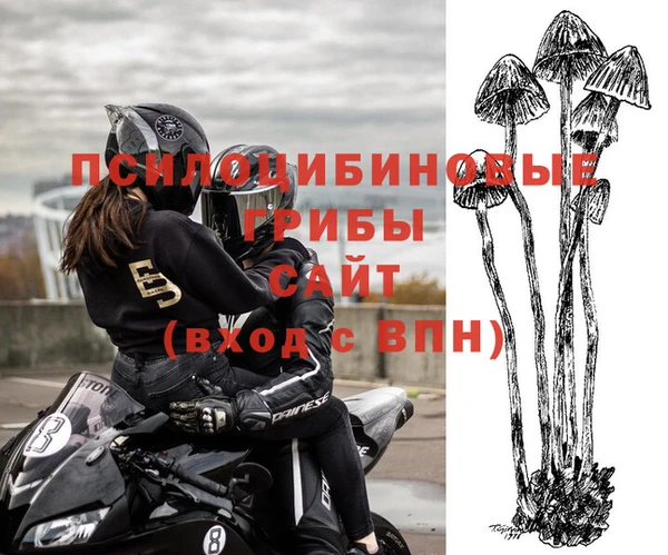 меф Ельня