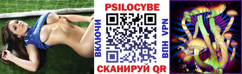 где купить наркоту Никольск Галлюциногенные грибы GOLDEN TEACHER